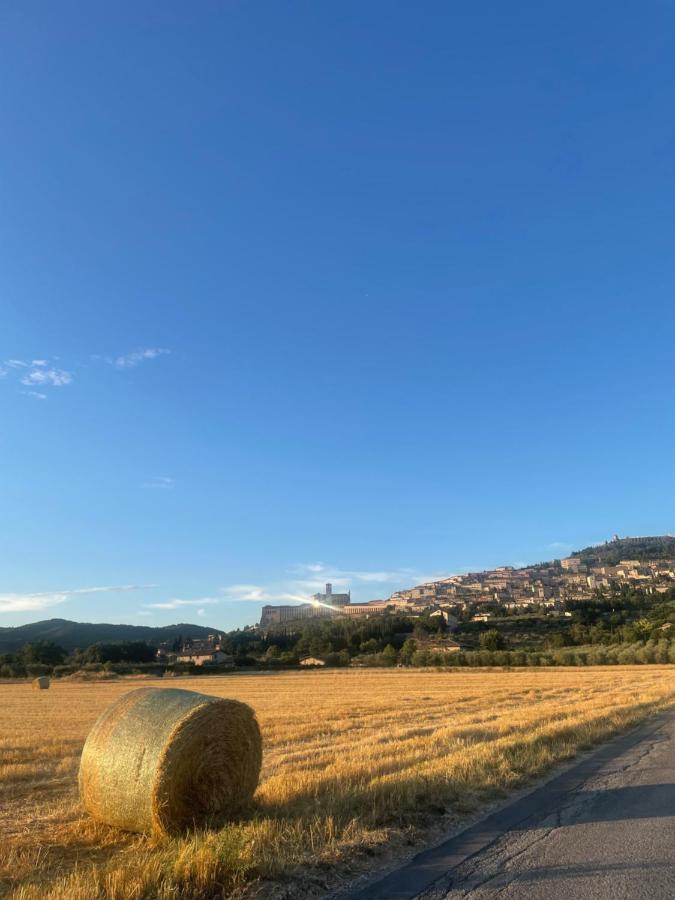 La Casa Dell'Artista Apartamento Assisi Exterior foto
